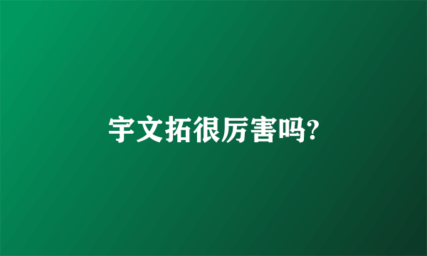 宇文拓很厉害吗?