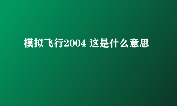 模拟飞行2004 这是什么意思