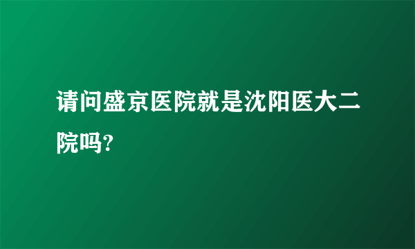 请问盛京医院就是沈阳医大二院吗?