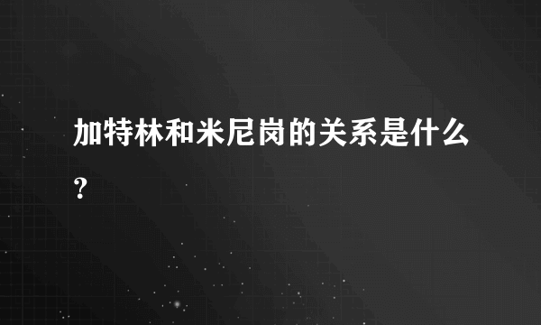 加特林和米尼岗的关系是什么？