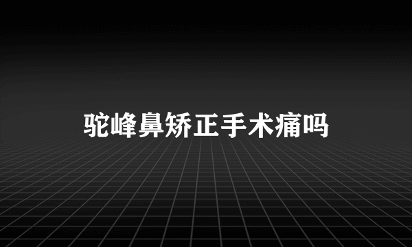 驼峰鼻矫正手术痛吗