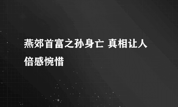 燕郊首富之孙身亡 真相让人倍感惋惜