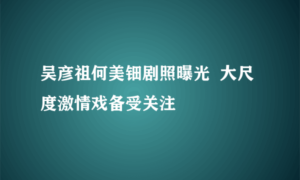 吴彦祖何美钿剧照曝光  大尺度激情戏备受关注