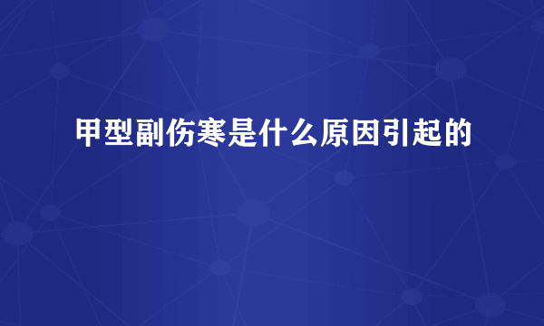 甲型副伤寒是什么原因引起的