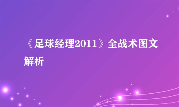 《足球经理2011》全战术图文解析