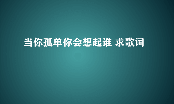 当你孤单你会想起谁 求歌词