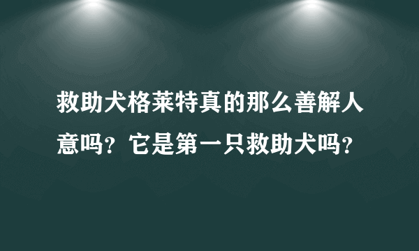 救助犬格莱特真的那么善解人意吗？它是第一只救助犬吗？