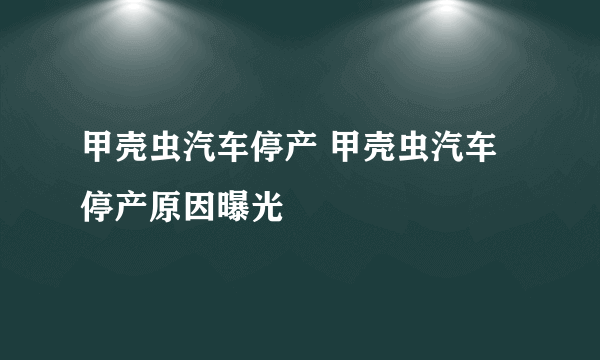 甲壳虫汽车停产 甲壳虫汽车停产原因曝光