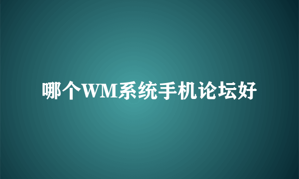 哪个WM系统手机论坛好