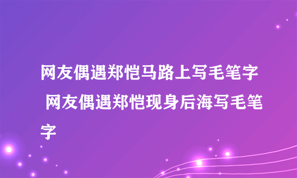 网友偶遇郑恺马路上写毛笔字 网友偶遇郑恺现身后海写毛笔字