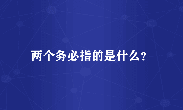 两个务必指的是什么？