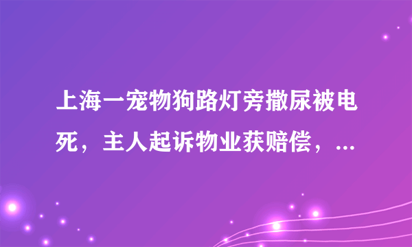 上海一宠物狗路灯旁撒尿被电死，主人起诉物业获赔偿，事件的始末有何细节？