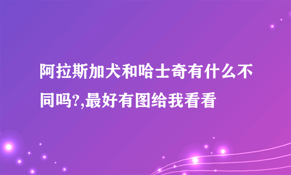 阿拉斯加犬和哈士奇有什么不同吗?,最好有图给我看看