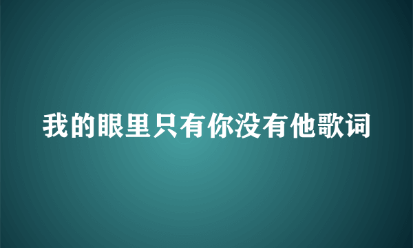 我的眼里只有你没有他歌词