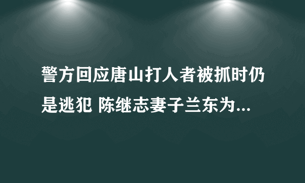 警方回应唐山打人者被抓时仍是逃犯 陈继志妻子兰东为事件发声