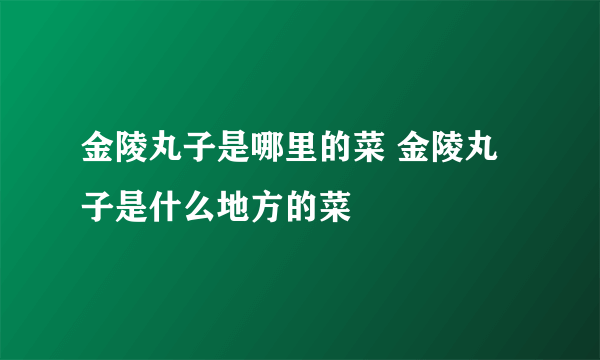 金陵丸子是哪里的菜 金陵丸子是什么地方的菜