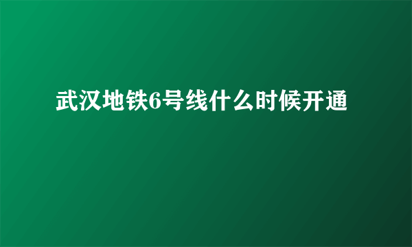 武汉地铁6号线什么时候开通