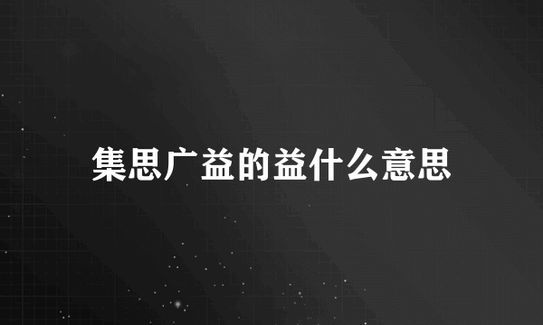 集思广益的益什么意思