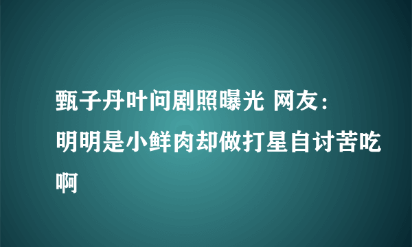 甄子丹叶问剧照曝光 网友：明明是小鲜肉却做打星自讨苦吃啊