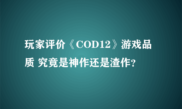 玩家评价《COD12》游戏品质 究竟是神作还是渣作？