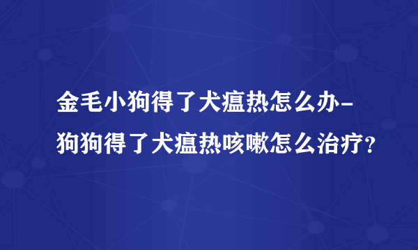 金毛小狗得了犬瘟热怎么办-狗狗得了犬瘟热咳嗽怎么治疗？