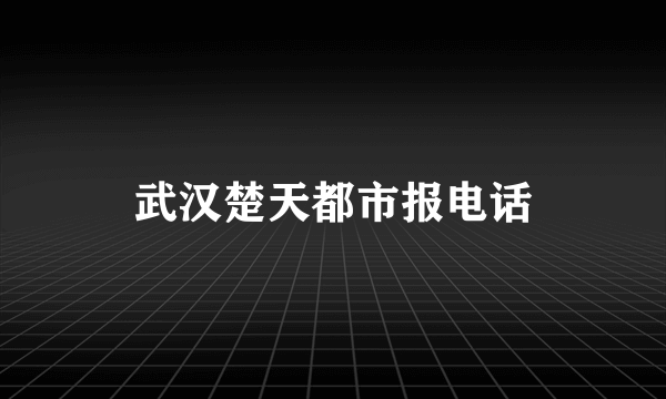 武汉楚天都市报电话