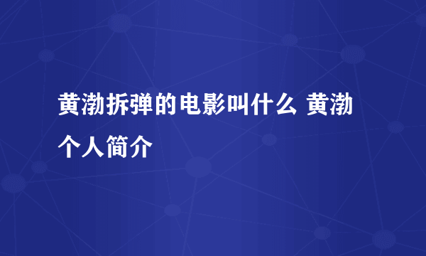 黄渤拆弹的电影叫什么 黄渤个人简介