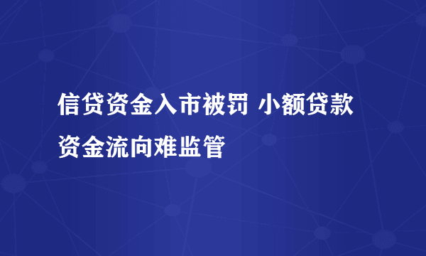 信贷资金入市被罚 小额贷款资金流向难监管