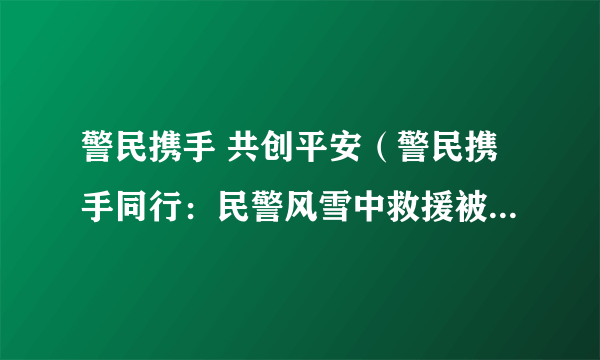 警民携手 共创平安（警民携手同行：民警风雪中救援被刮出几米远）