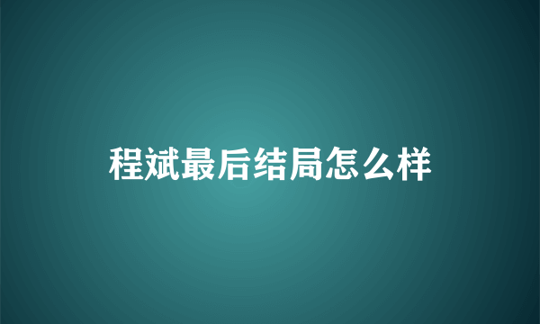 程斌最后结局怎么样