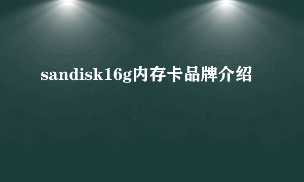 sandisk16g内存卡品牌介绍