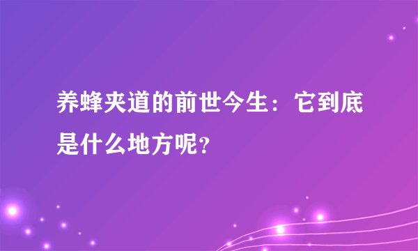 养蜂夹道的前世今生：它到底是什么地方呢？