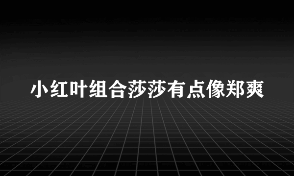 小红叶组合莎莎有点像郑爽