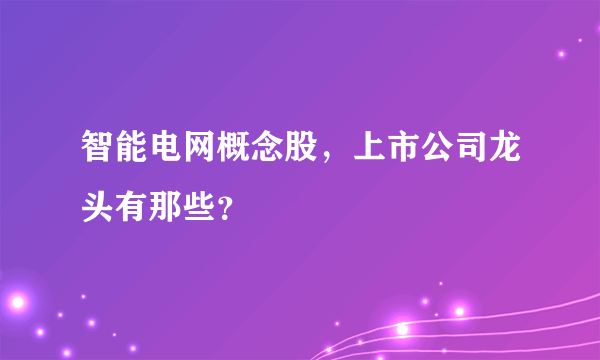 智能电网概念股，上市公司龙头有那些？