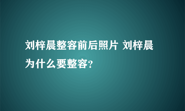 刘梓晨整容前后照片 刘梓晨为什么要整容？