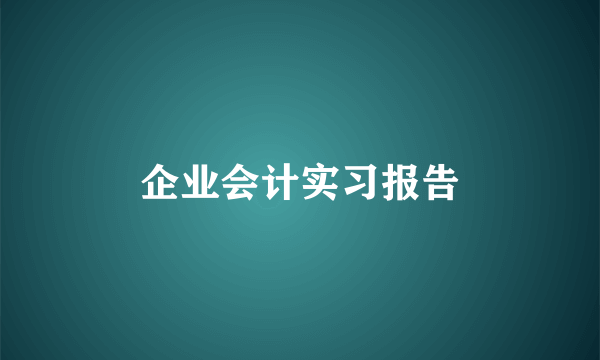 企业会计实习报告