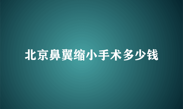 北京鼻翼缩小手术多少钱