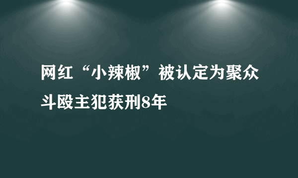 网红“小辣椒”被认定为聚众斗殴主犯获刑8年