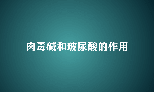 肉毒碱和玻尿酸的作用