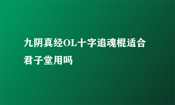 九阴真经OL十字追魂棍适合君子堂用吗