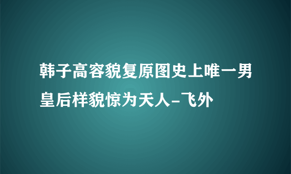 韩子高容貌复原图史上唯一男皇后样貌惊为天人-飞外