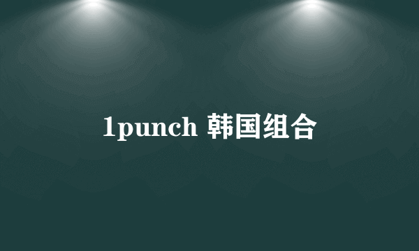 1punch 韩国组合