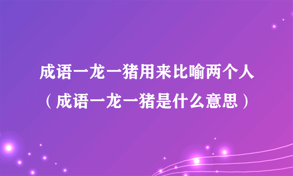 成语一龙一猪用来比喻两个人（成语一龙一猪是什么意思）