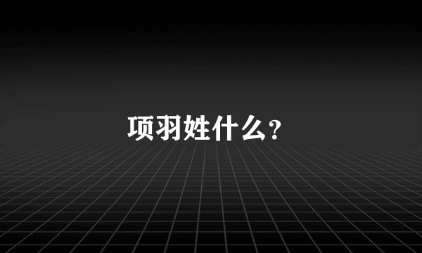 项羽姓什么？