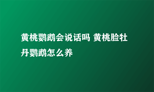 黄桃鹦鹉会说话吗 黄桃脸牡丹鹦鹉怎么养