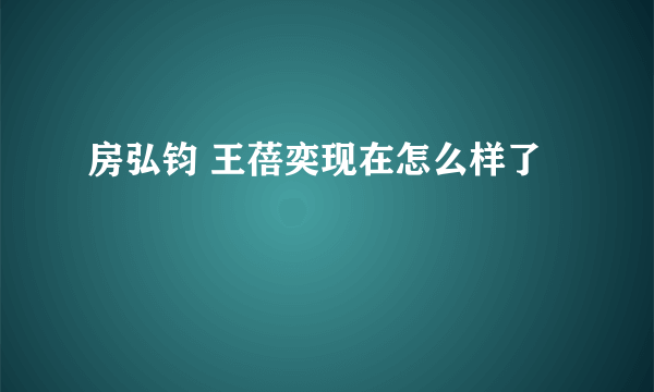 房弘钧 王蓓奕现在怎么样了