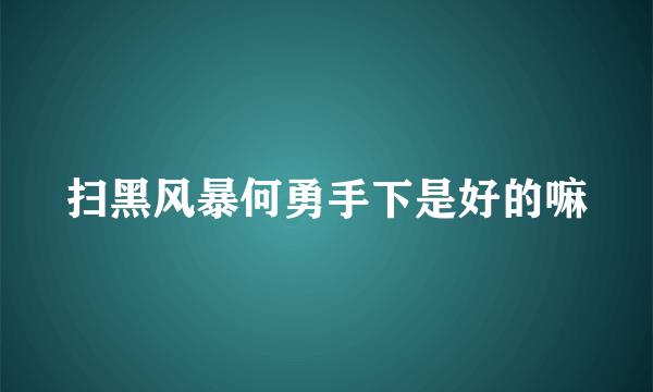 扫黑风暴何勇手下是好的嘛