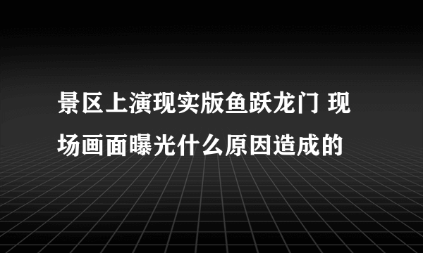 景区上演现实版鱼跃龙门 现场画面曝光什么原因造成的