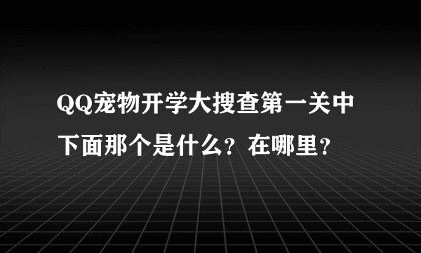 QQ宠物开学大搜查第一关中下面那个是什么？在哪里？