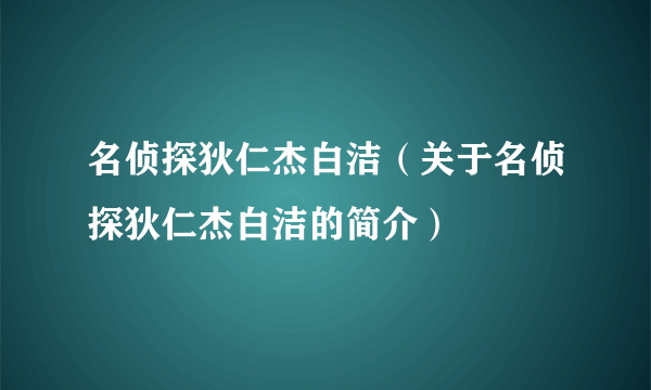 名侦探狄仁杰白洁（关于名侦探狄仁杰白洁的简介）